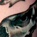 Tattoos - Skin skull - 15685